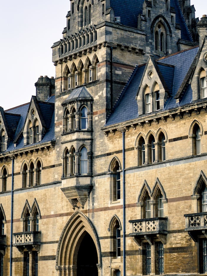 about-02 pexels-photo-35491213.jpeg